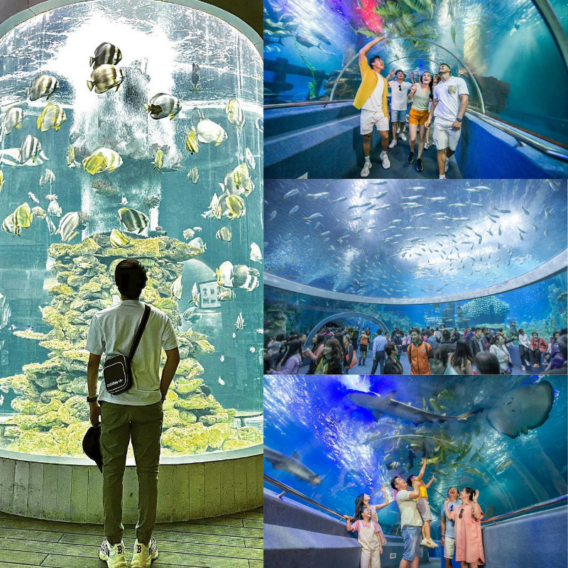 Chi phí du lịch Nha Trang tiết kiệm