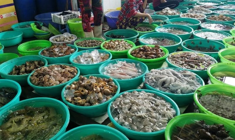 Doc Let Nha Trang travel