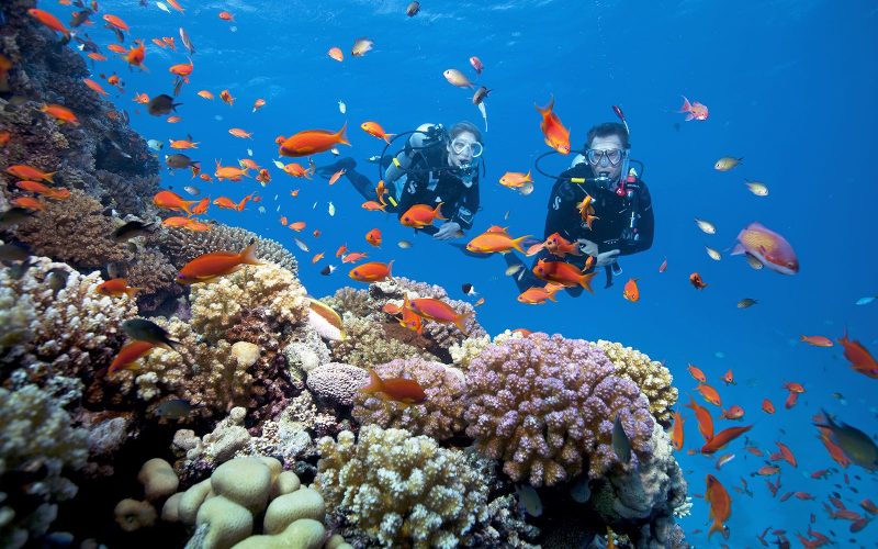 Địa điểm vui chơi ở Nha Trang