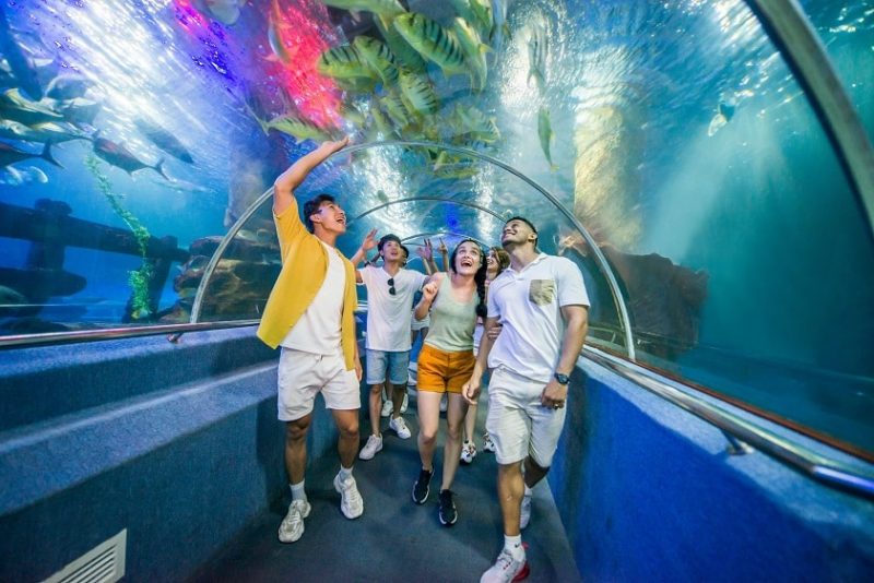 Hoạt động giải trí ở Nha Trang
