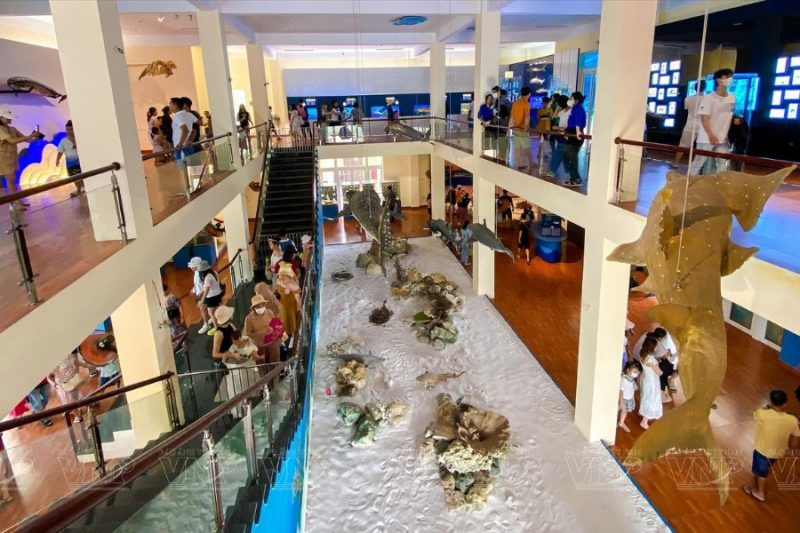 Hoạt động vui chơi ở Nha Trang