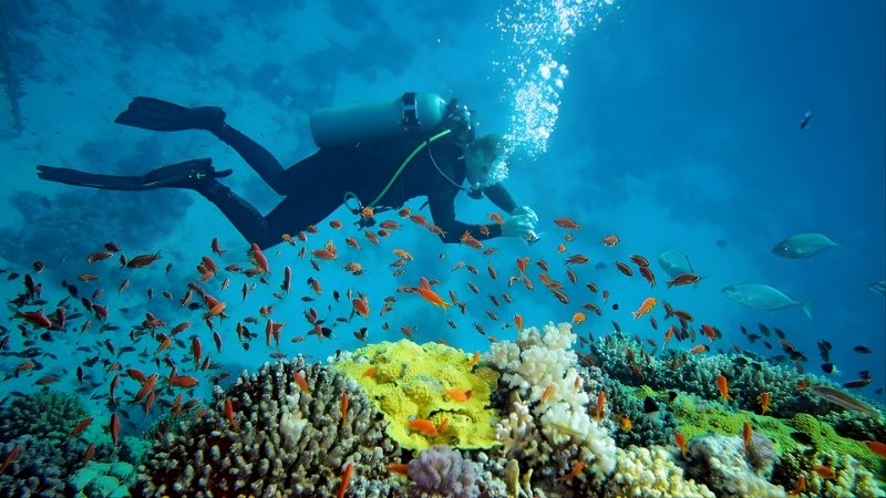 Trải nghiệm du lịch Nha Trang dịp 30/4