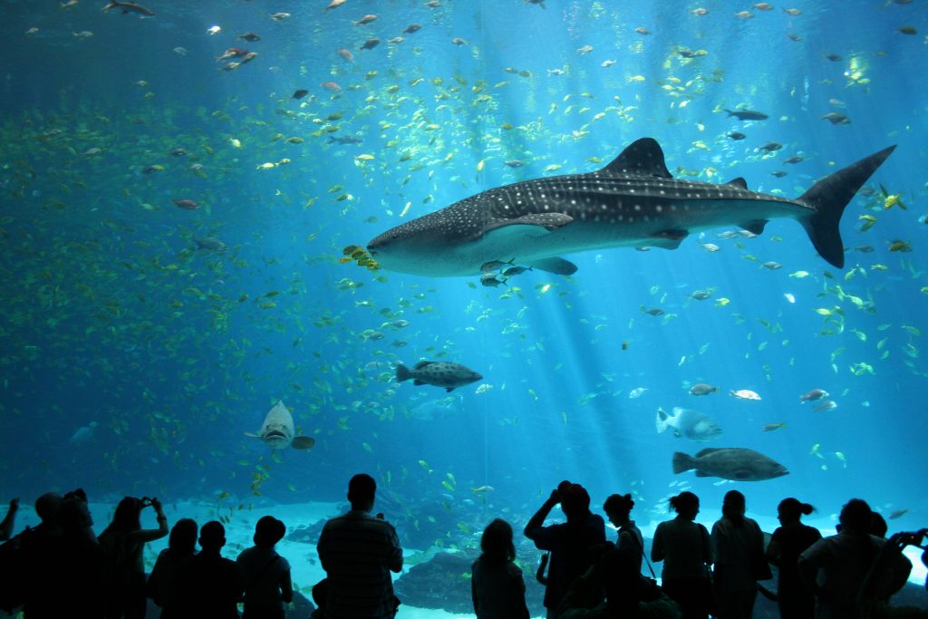 National Oceanographic Museum Nha Trang